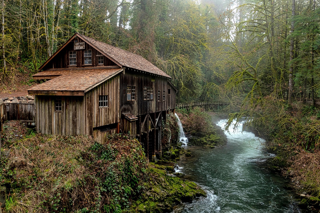 The Chalk Stream: Following the Water from Source to Village